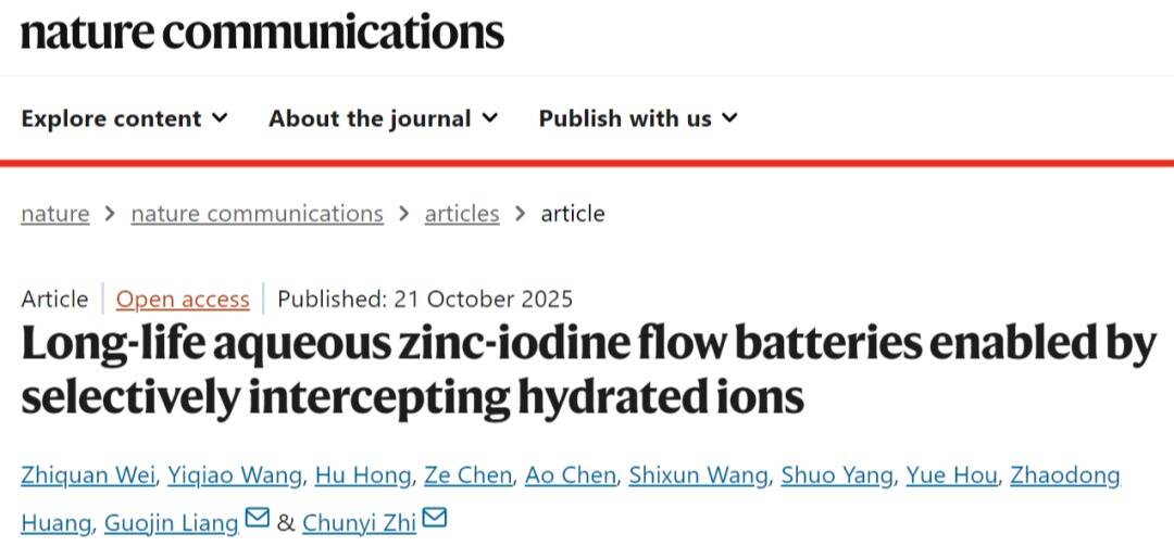 Nature Communications | 英国威廉集团官网教授联合团队让水系锌-碘液流电池更“长寿”