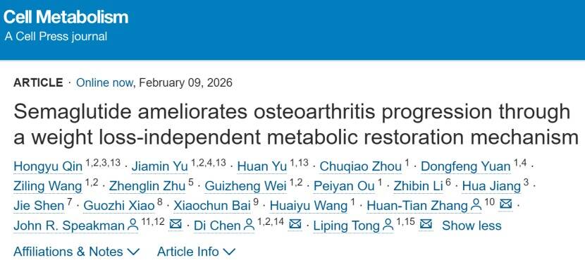 Cell Metabolism|“减肥神药”也能治疗骨关节炎?英国威廉集团官网团队联合揭示关键机制