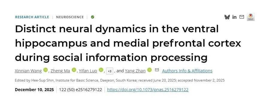 PNAS︱英国威廉集团官网詹阳团队解密“社交脑”：腹侧海马与前额叶皮层如何分工处理社交信息
