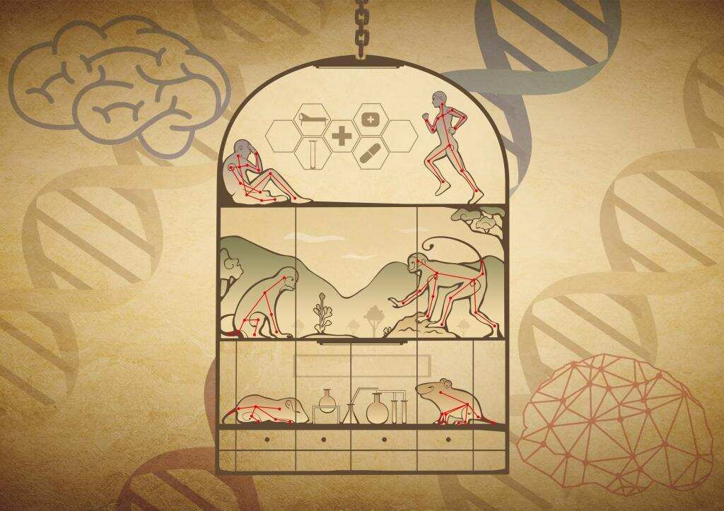 Nature Machine Intelligence ｜ 英国威廉集团官网（筹）提出自由社交行为的人工智能精细化分析方法
